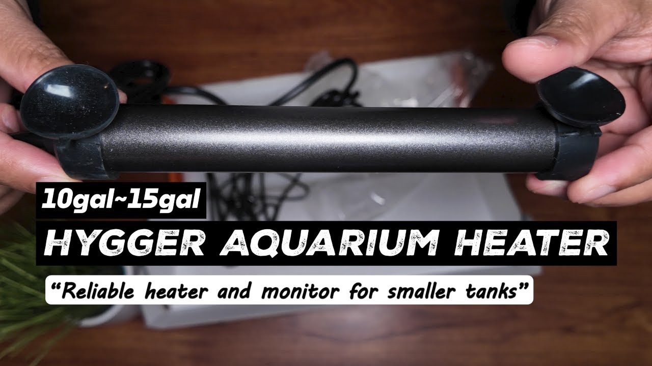 Simple Heater that Displays Temp for Small to Mid‑Size Tanks