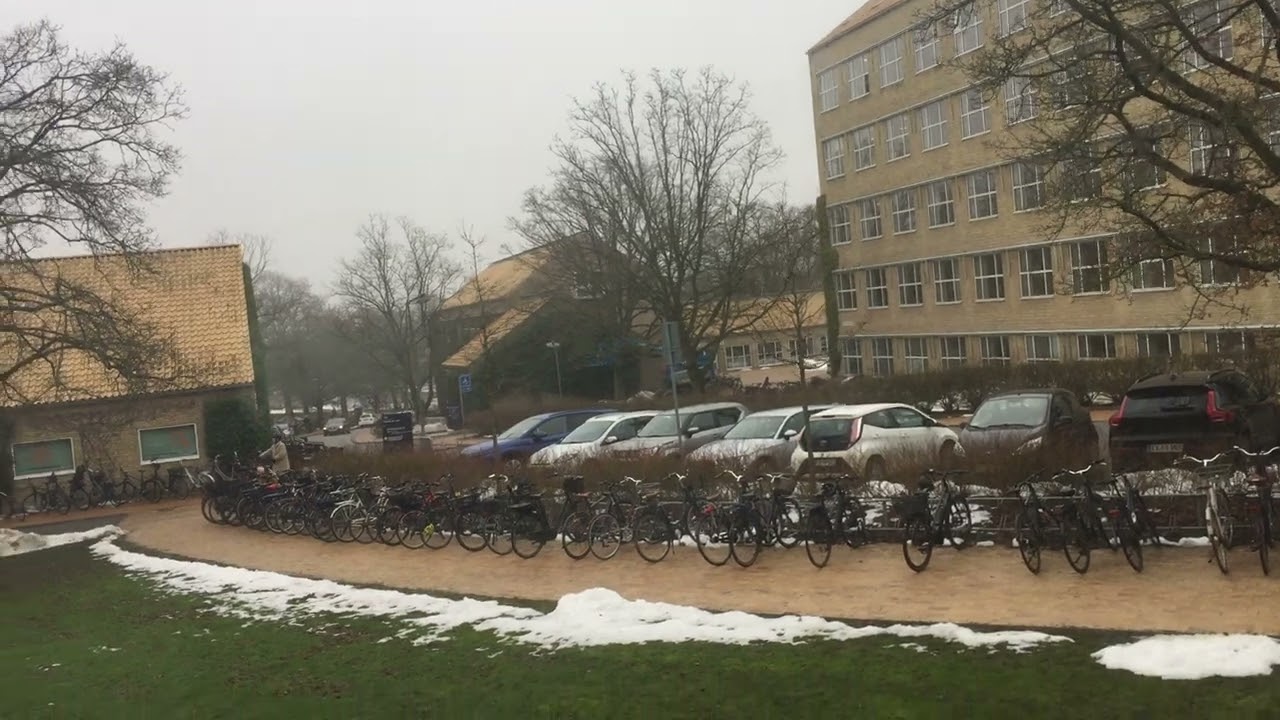 🇩🇰 Enjoy with me this beautiful park at the university in Aarhus, Denmark