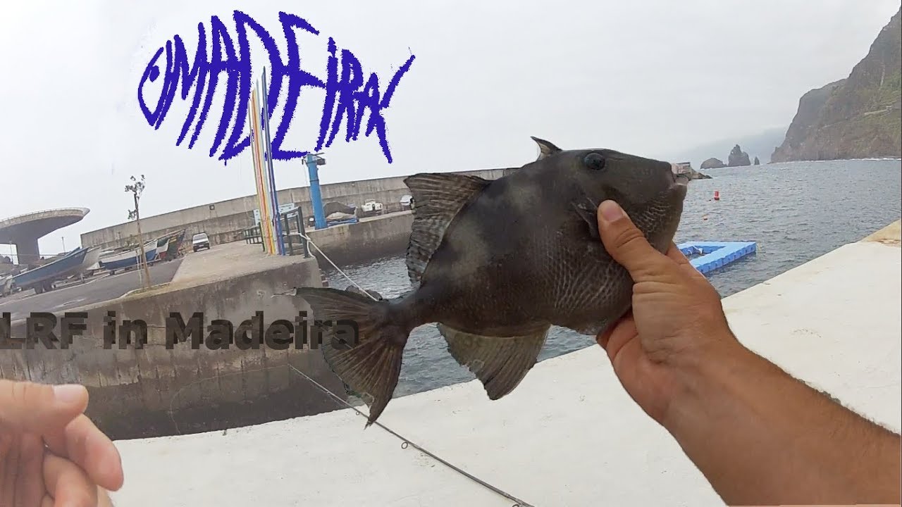 Light rock fishing in Madeira