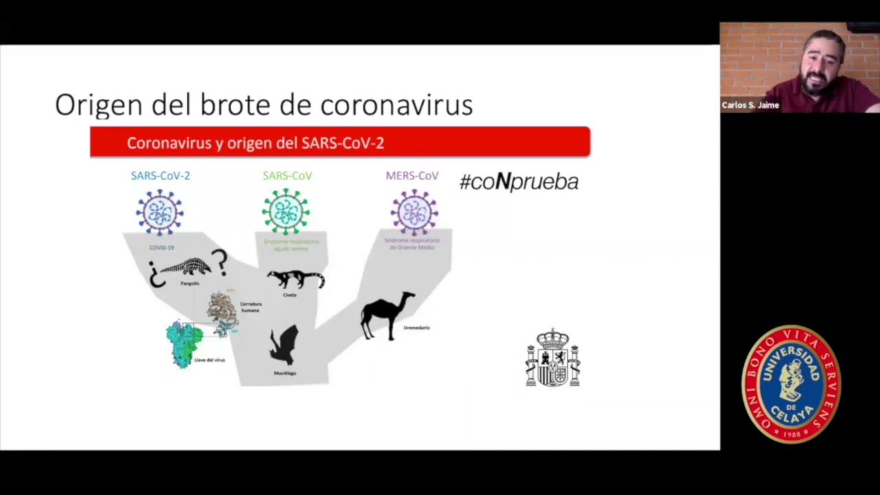 ¿Qué es el SARS COV 2?