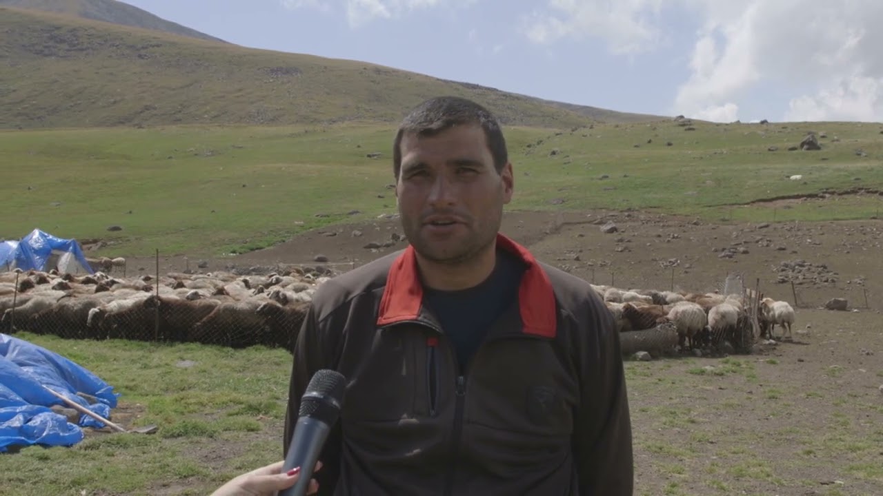 Եզդիների առօրյան