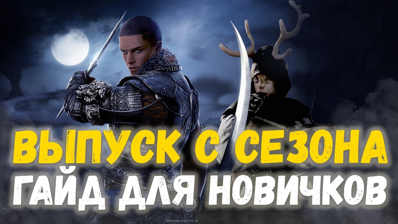 BDO 2023 Выпуск с сезона. Гайд для новичков. Босс шмот и халявная бижа!