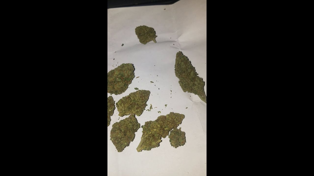 Berry punch by Five Leaf Wellness (Quailty cbd flower)