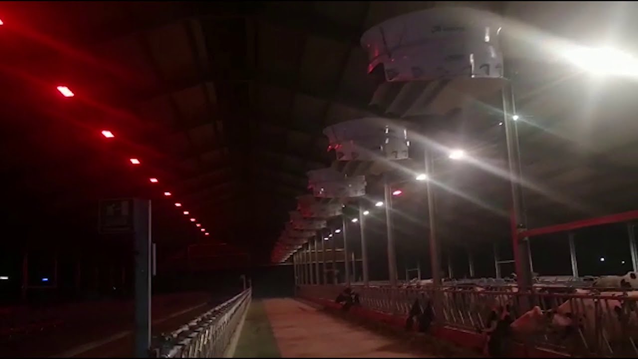 Innovazioni per le stalle: ventilazione, materassini, illuminazione