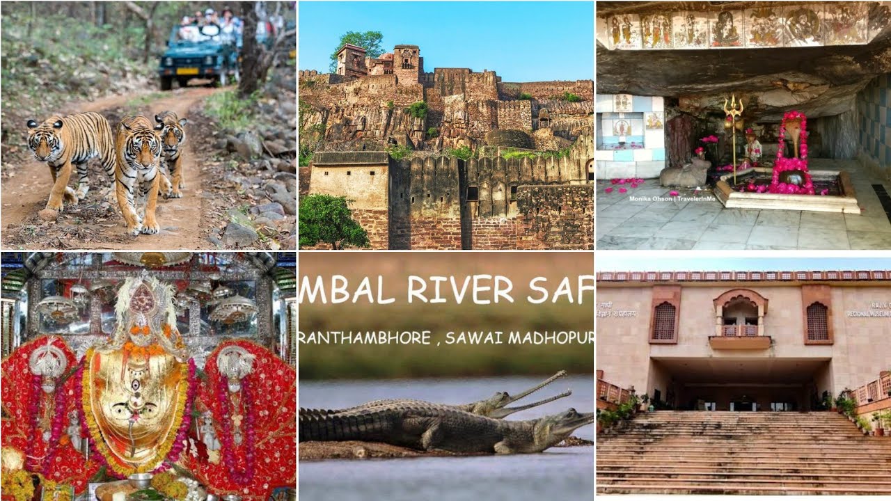Ranthambore - Sawai Madhopur rajasthan tour 2026.