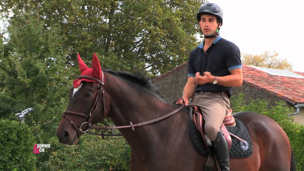 Première séance avec votre cheval : que lui faire faire ? Equidia Life