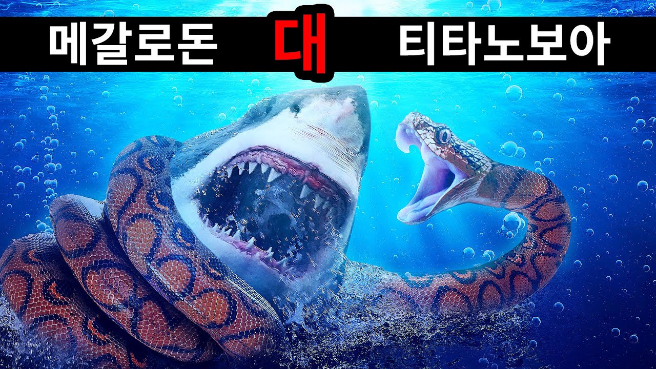 메갈로돈이 역대 가장 큰 뱀을 만난다면?