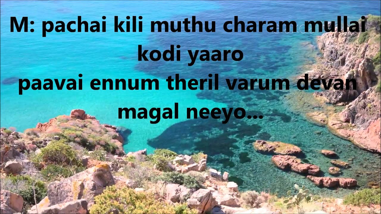 Pachaikili Muthucharam Karaoke   For Male Singer