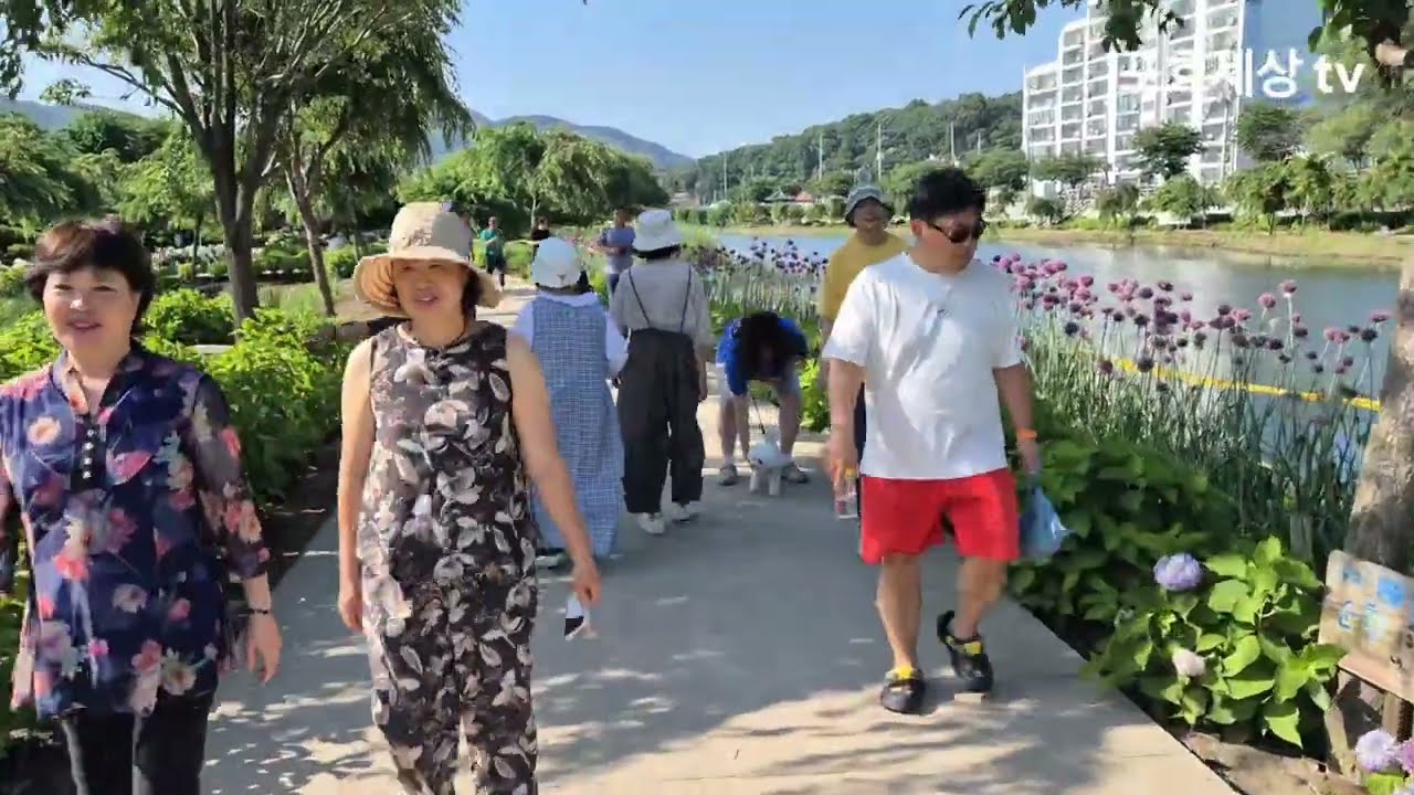 #공주유구 색동정원 꽃 축제 #수국축제 2025.6.27~6.29