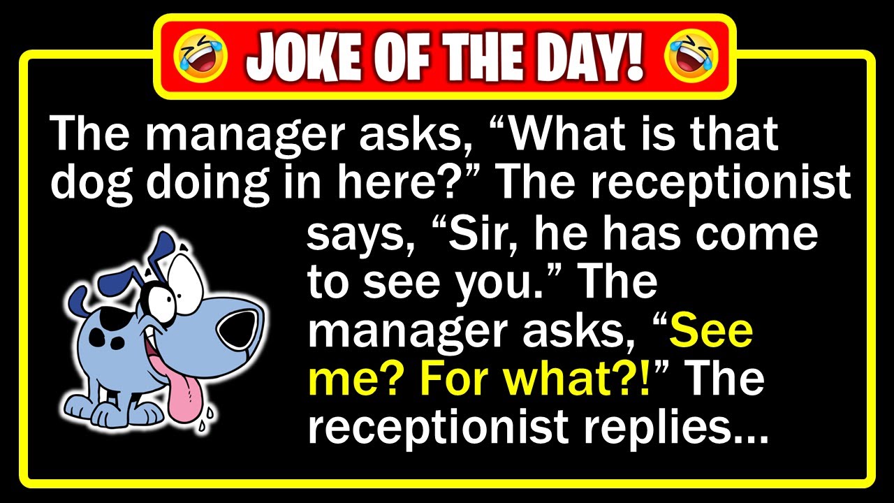 🤣 BEST JOKE OF THE DAY! - This job-hunting dog has one shocking final skill... | Funny Dad Jokes