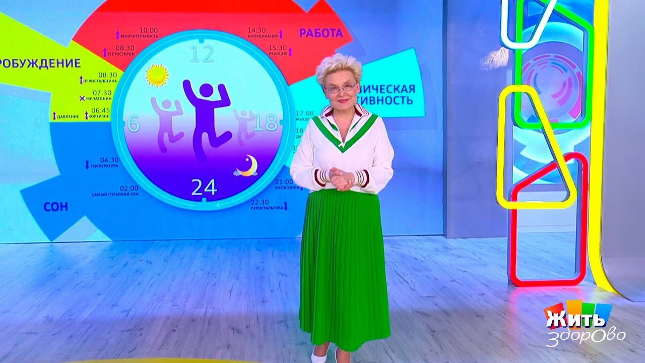 Биологические часы: во сколько надо просыпаться? 22.08.2024