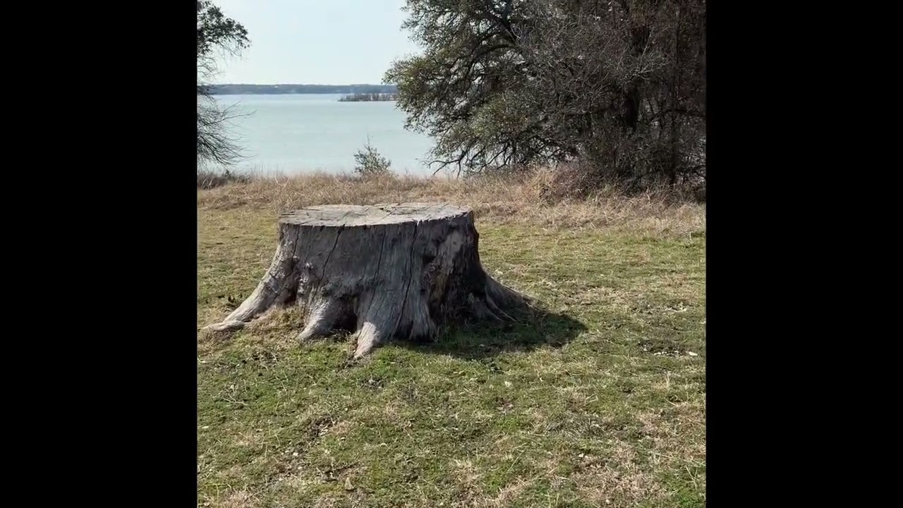Lake Whitney State Park Walk About 