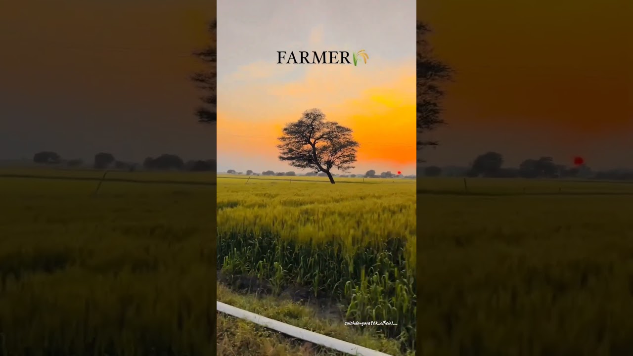 #farming  #farmingagphotos #farming_ismylife  #ecofarming #hobbyfarming #instafarming #farmingfamily