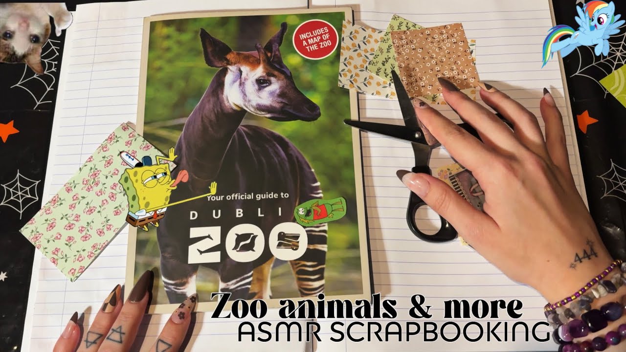Animal Scrapbooking to Relax / Fall Asleep to | ASMR Scrapbooking with Dublin Zoo Official Guide