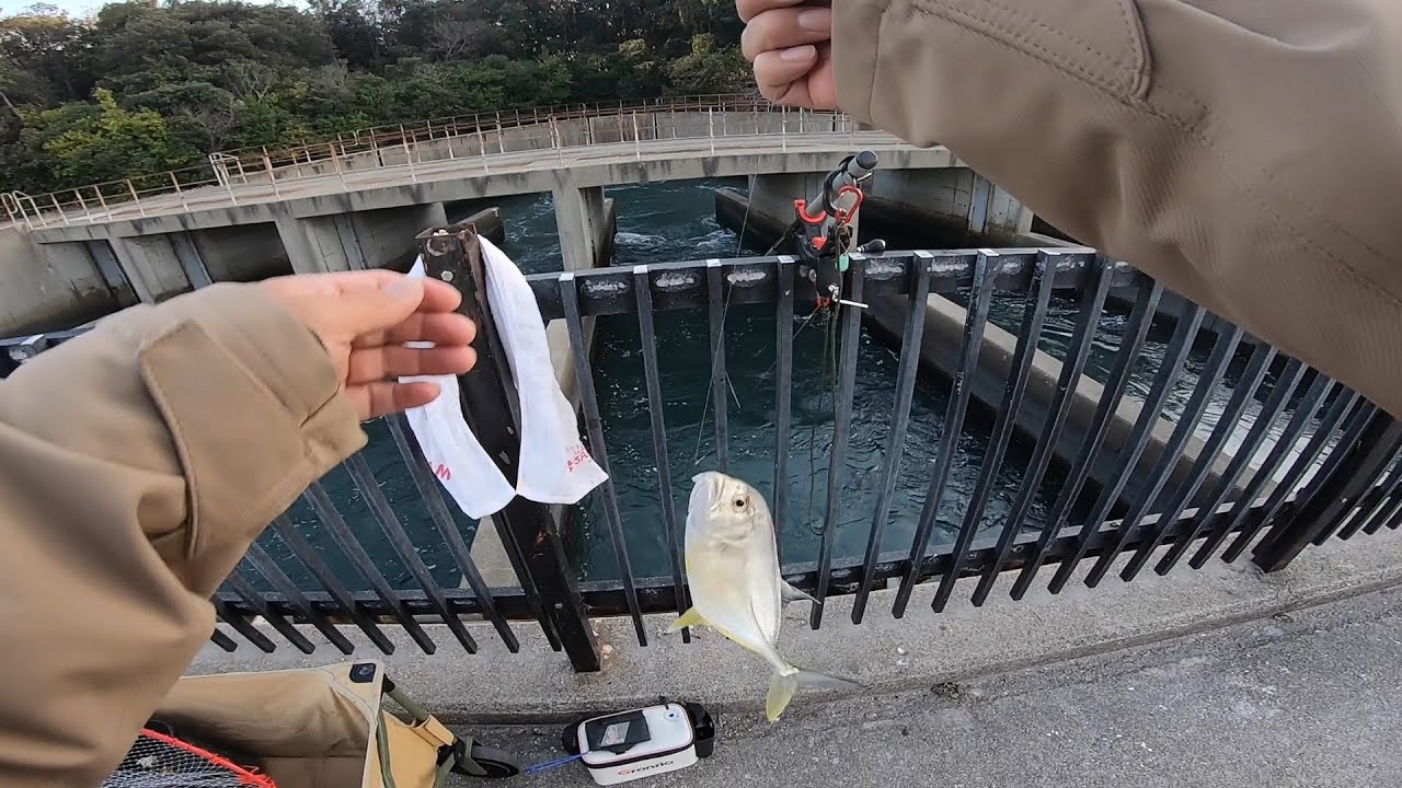 【碧南釣り公園温排水】釣り/海釣り/碧南海釣り公園/碧南釣り広場/温排水/衣浦湾/クロダイ/チヌ/キビレ/セイゴ/マダカ/シーバス/メッキ