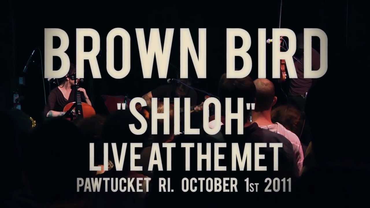 CRASHBOOMBANG MEDIA: Brown Bird 