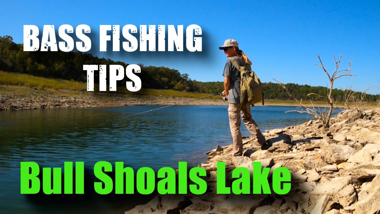 Bull Shoals Lake BANK FISHING Secrets for Late Summer Bass