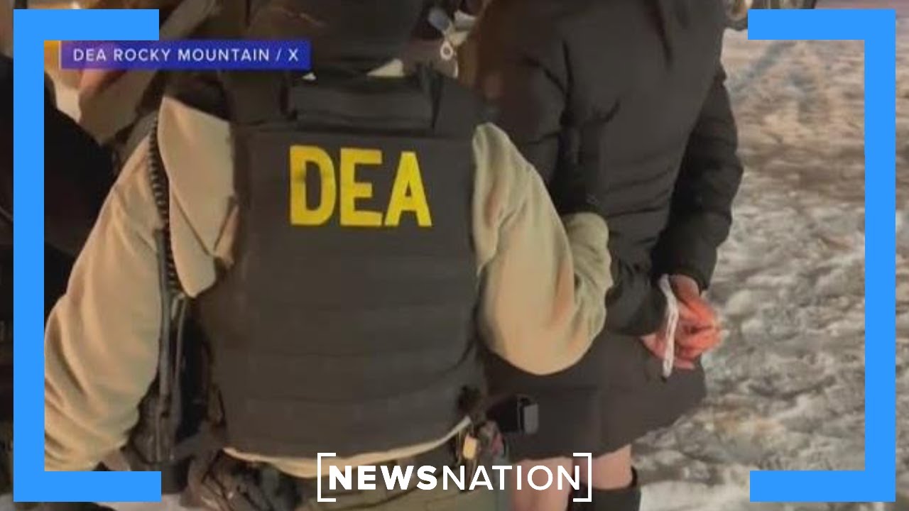 Tren de Aragua gang turning into multiple groups: Reports | NewsNation Prime