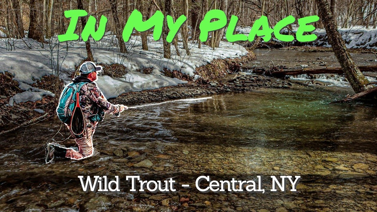 First Trip of 2025! | Fly Fishing Wild Trout - Central NY