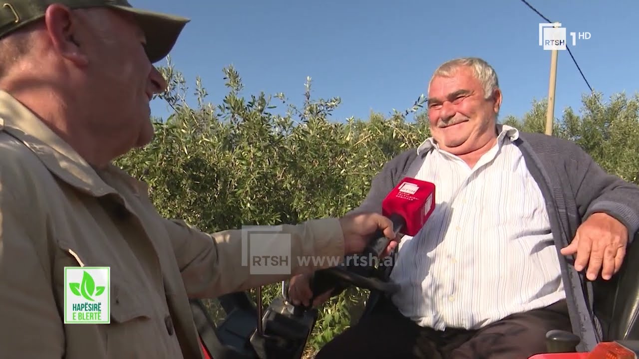 Tradita e kultivimit të ullirit dhe mbarështrimit të blegtorisë në Berat | “Hapësirë e blertë”