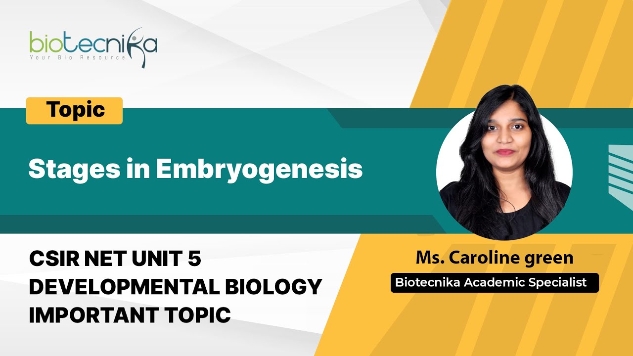 Stages in Embryogenesis | CSIR NET Important Topic | UNIT 5 Developmental Biology