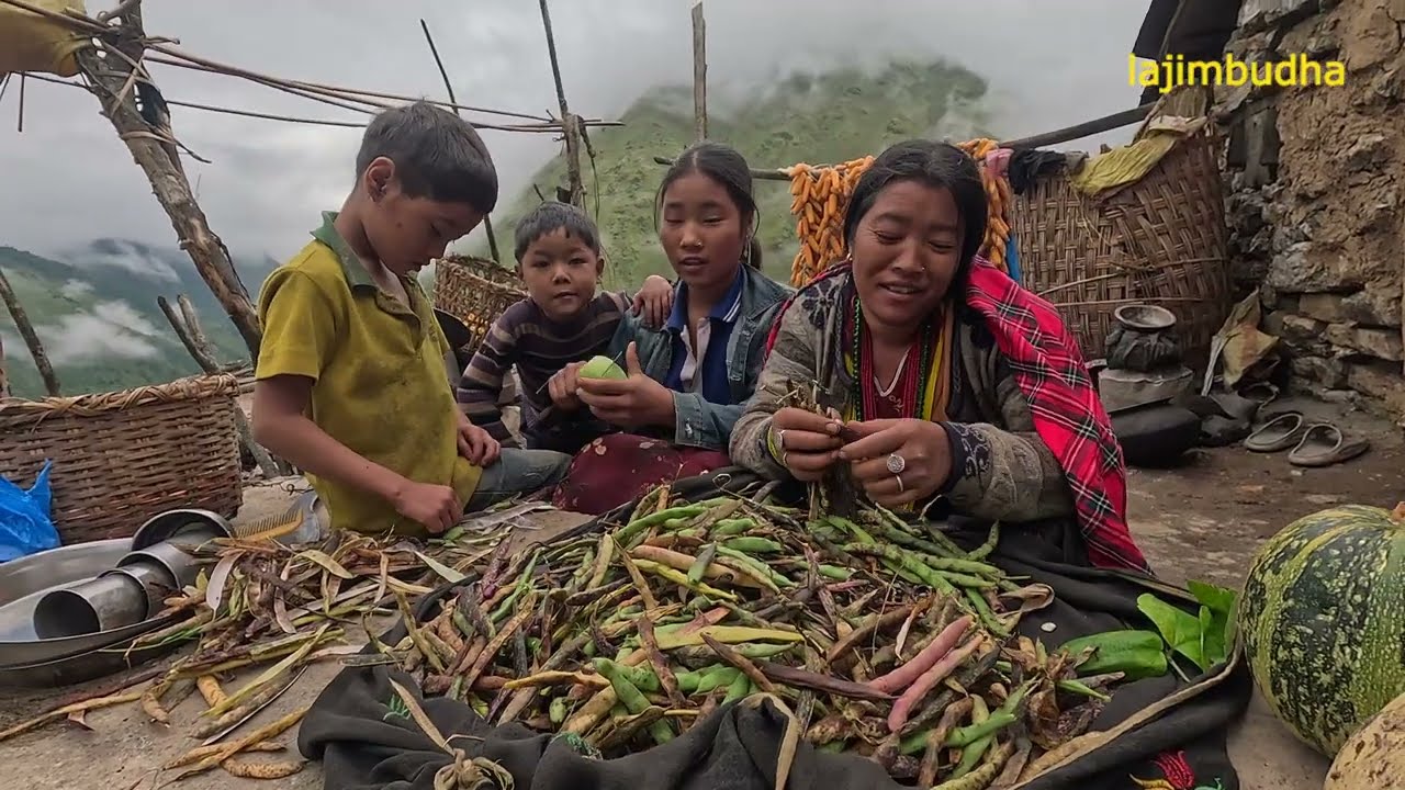farmers task during crops harvesting || lajimbudha ||