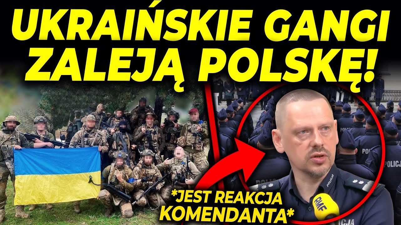 NADCHODZI FALA UKRAIŃSKICH GANGÓW!