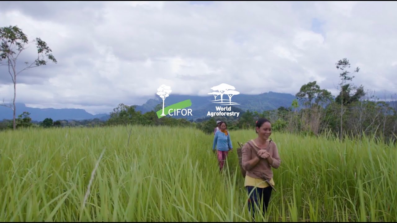 International Day of Rural Women 2023