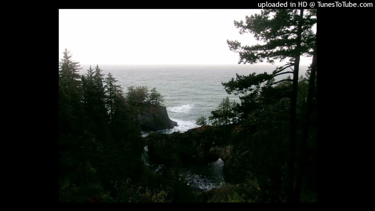 [FREE4NP] yung lean + drain gang + unique ripsquadd type beat