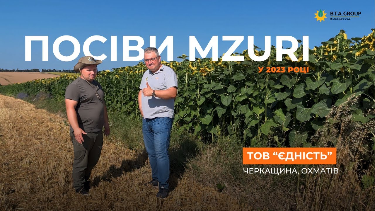 Технологія Mzuri Pro-Til 3 роки на полях Черкащини. Результати роботи.