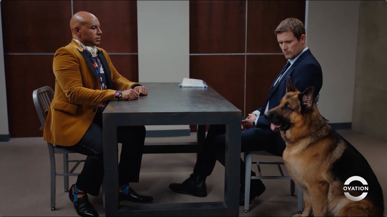 Hudson & Rex | The Scent of Innocence | Season 3