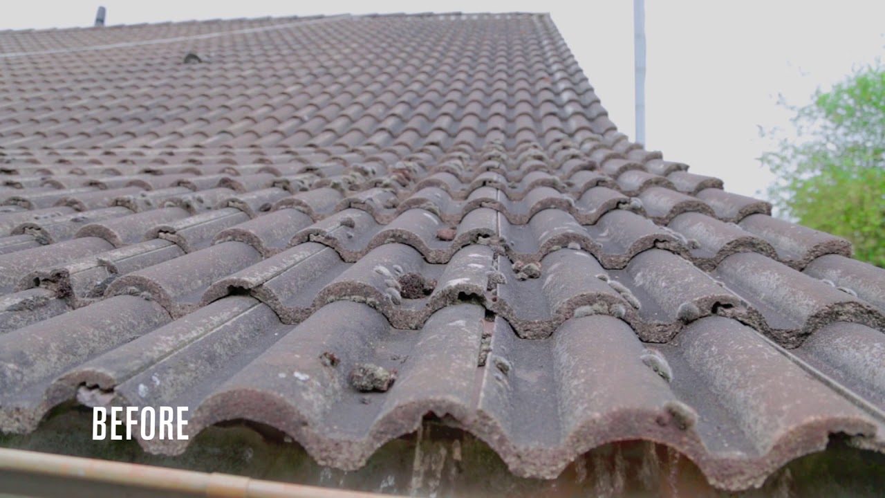 San Deco | Roof Paint