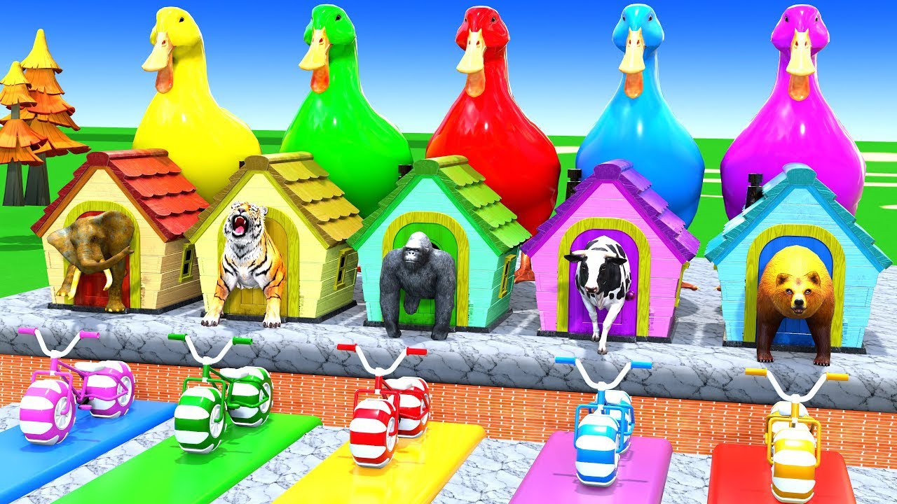 Long Slide Game with Cow Elephant Gorilla Hippopotamus Tiger 3d Animal Game Funny 3d Animals