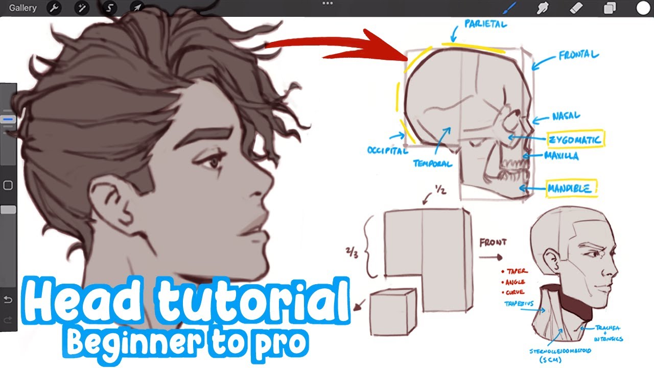 the EASIEST way to learn drawing Heads! (Beginner to Pro) | Full Drawing Process - Real Time