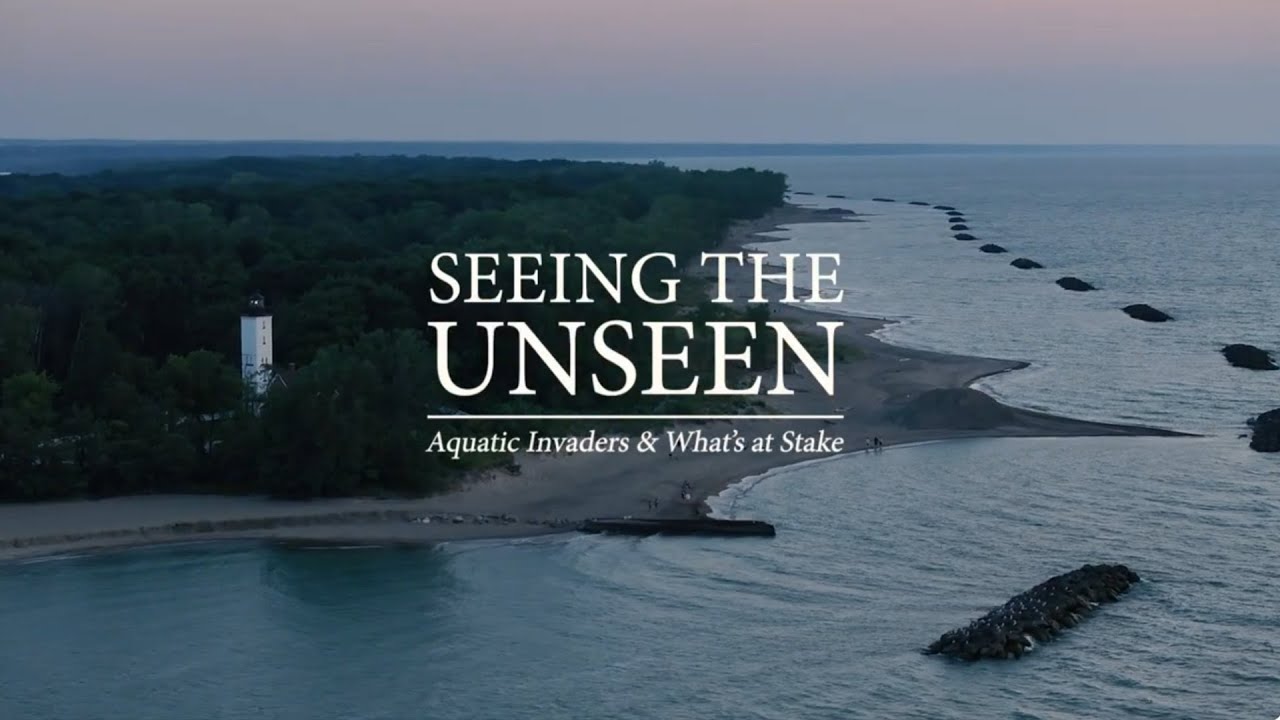 Seeing The Unseen: Aquatic Invaders & What's at Stake