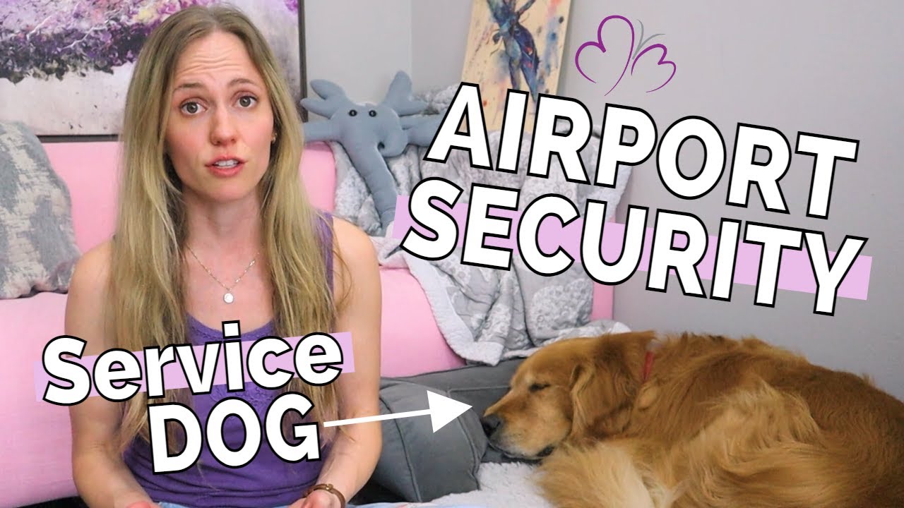 Fly with a SERVICE DOG // How To Do AIRPORT SECURITY SCREENING with a Service Dog