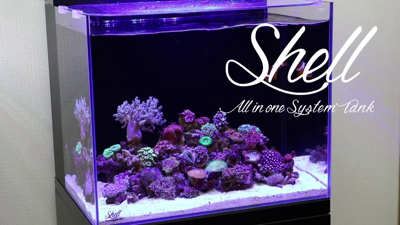 Shell2立ち上げ方法