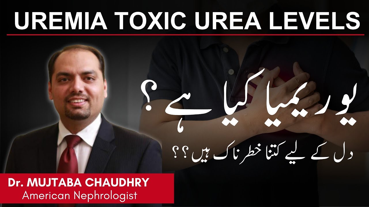 What is Uremia? How dangerous are they for the heart? 