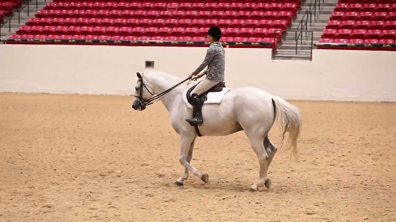 2025 Western National Championship Ride the Pattern - Hunt Seat Equitation