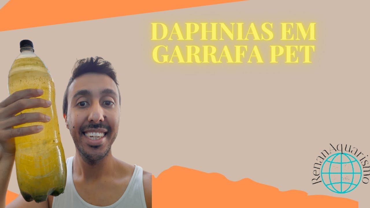 Daphnias em Garrafa Pet