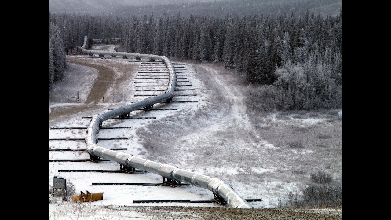Trans Alaska Oil Pipeline | Aerial View 🌎