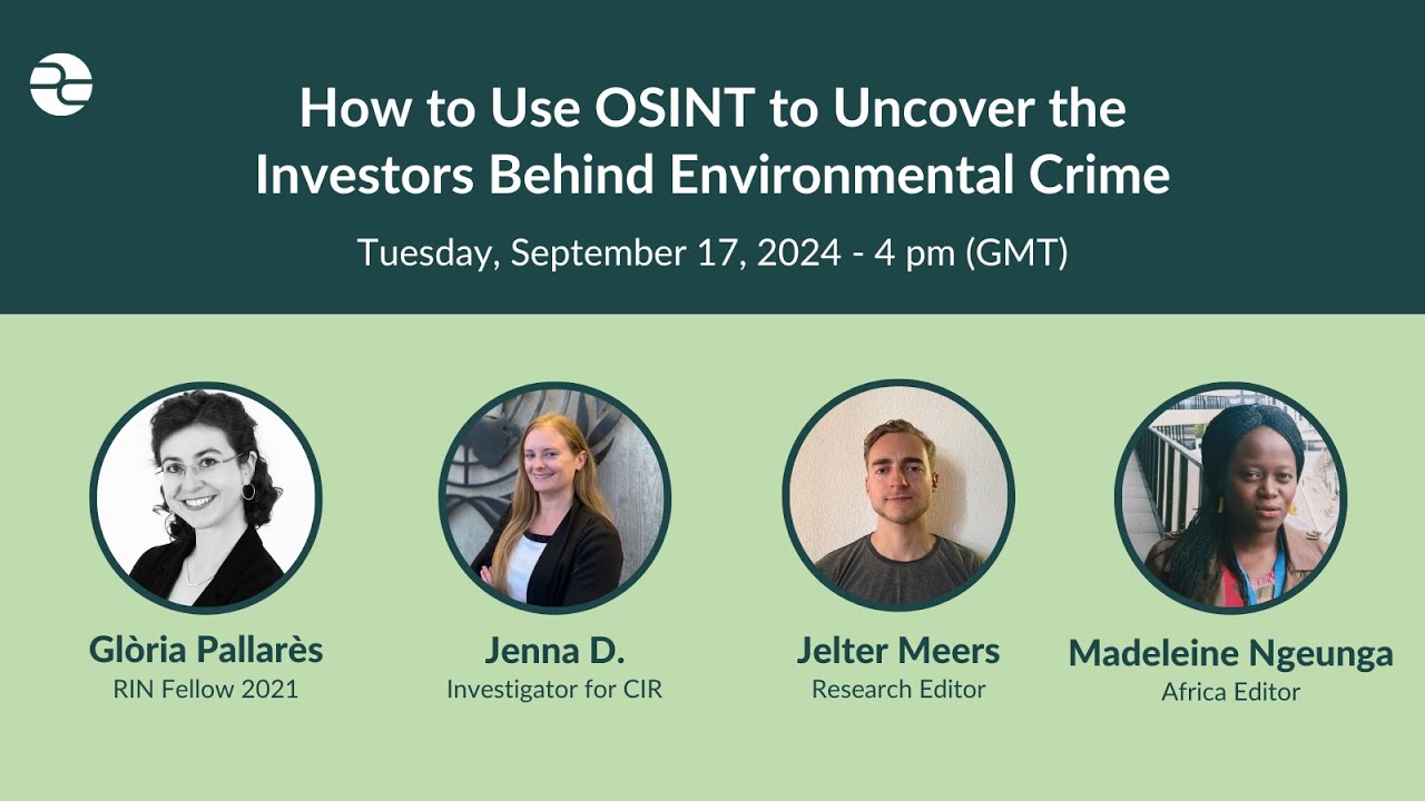 How To Use OSINT To Uncover the Investors Behind Environmental Crime