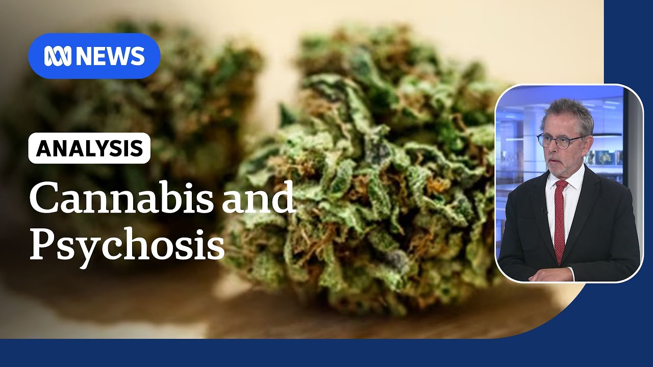 Massive study finds link between cannabis and schizophrenia | ABC NEWS