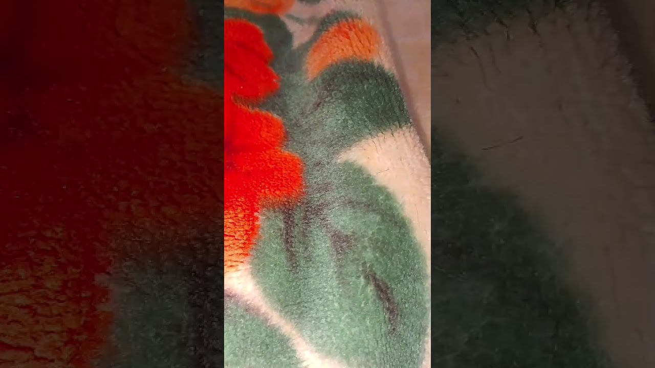 شويه دردشه مع بعض خلينا ننسى الهموم ال فينا 