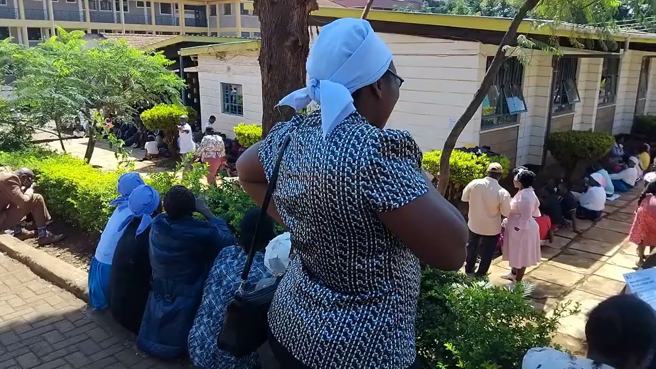 Wamuthende vs Karish Election petition ~ Embu Law Courts