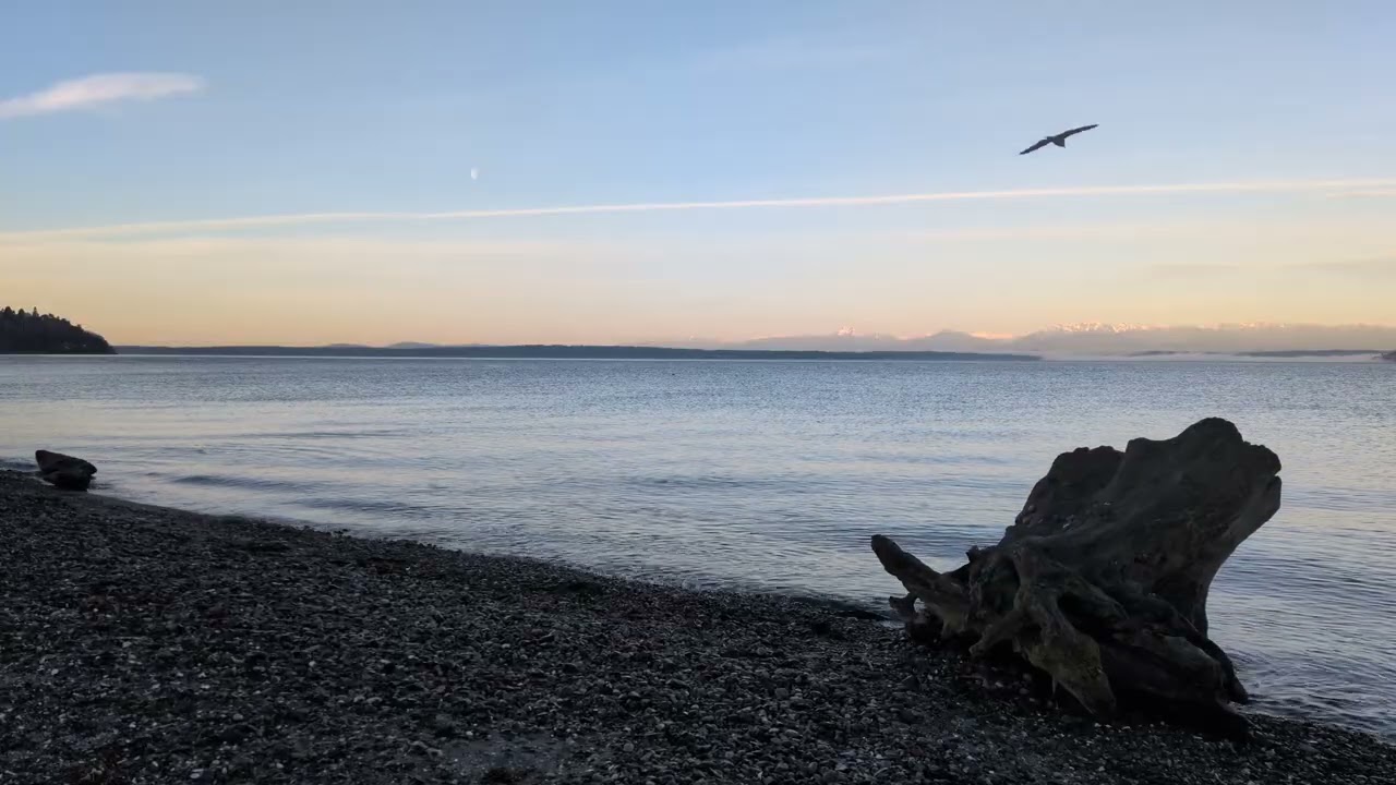 ASMR Seattle Washington Puget Sound