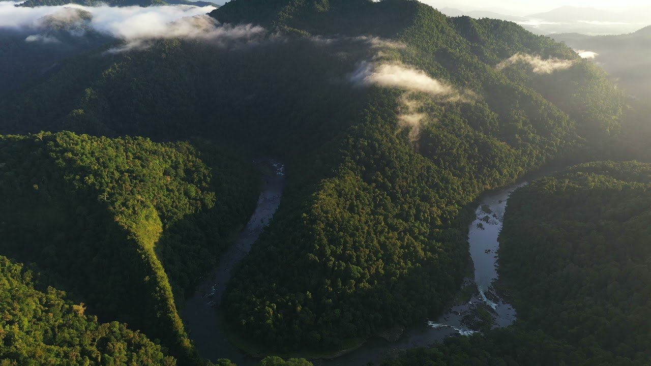 Crawford's Lookout, Wooroonooran National Park, Far North Queensland