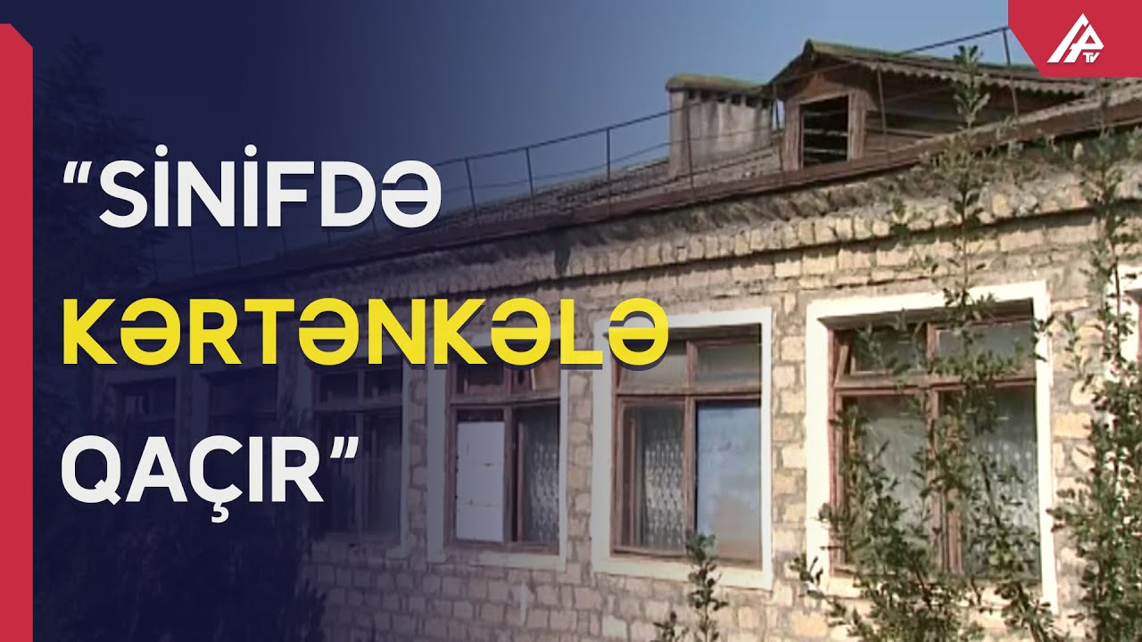 Göyçayda şagirdlər məktəbə su və odun daşımalı olur - APA TV