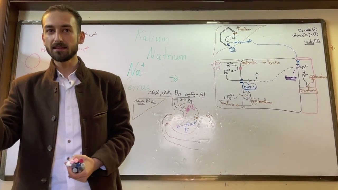 استقلاب الحديد 1