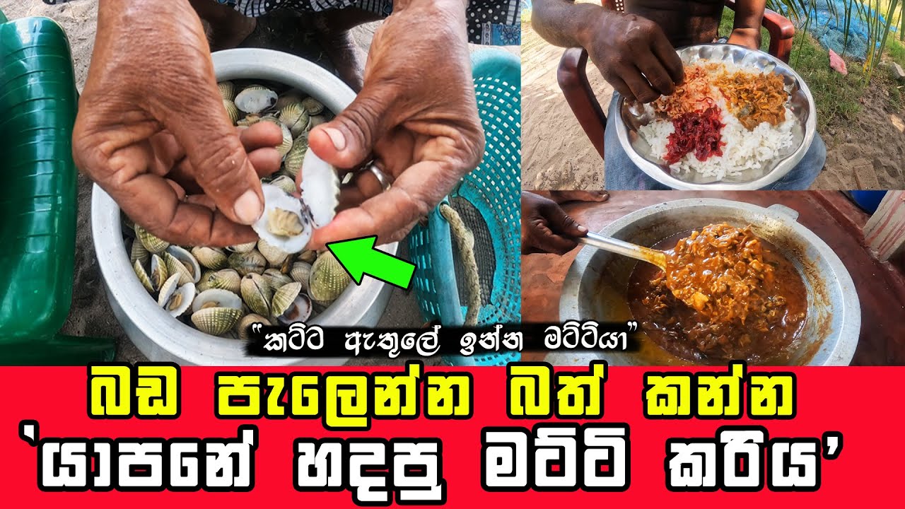 COOKING TASTY LITTE NECK CLAMS IN JAFFNA STYLE SRI LANKA | THE PERFECT SEAFOOD DISH FOR ANYONE